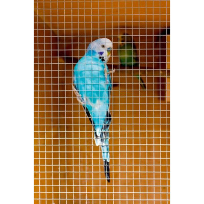 Ambador Cage & Aviary Welded Panel Silver (1.3 x 1.3cm) Price Comparisons | Compare The Build