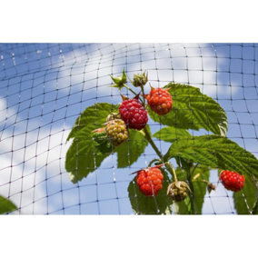 Ambador Fruit Cage Net Black (16 x 2m)