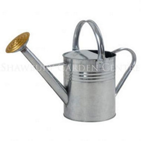 Ambador Galvanised Watering Can Silver (9l)