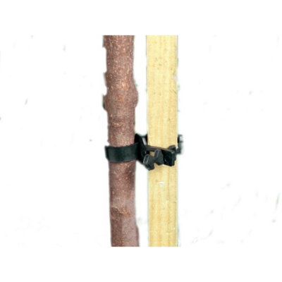 Ambador Soft Shrub Ties (Pack Of 2) Black (9in)