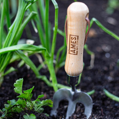 Ames Hand Fork Stainless Steel