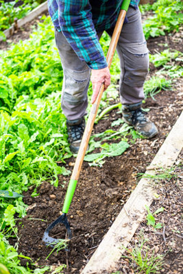 AMES High-Quality Carbon Steel Dutch Hoe - L 149 cm x W 13 cm x D 3.2 cm