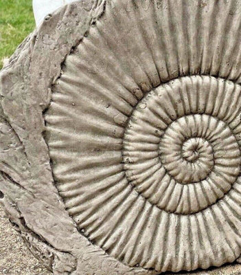 Ammonite Fossil Stone Statue Outdoor Garden Ornament Decoration British Made Sculpture
