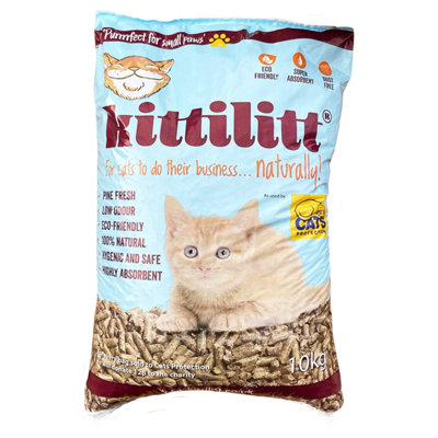 Non clumping cat outlet litter for kittens