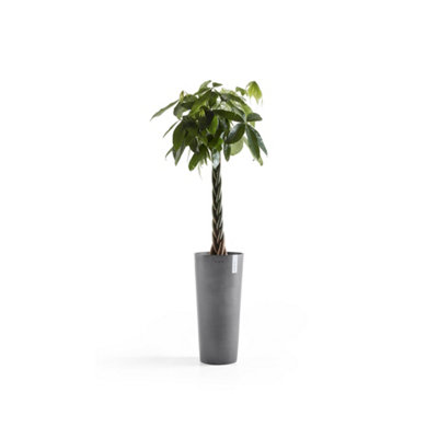 Amsterdam High Vase Ecopot  Grey - 3