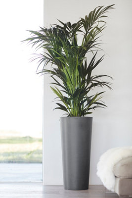 Amsterdam High Vase Ecopot  Grey - 5