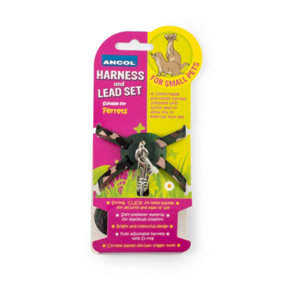Ancol Adjustable Click Nylon Buckle Ferret Harness and Lead Pet Leash Training Accessory