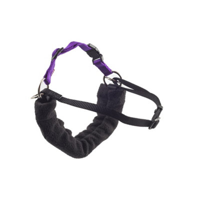 Ancol Happy at Heel PDL PURE Dog Listeners Harness and Lead Set Size Medium 4 6 To Fit Girth 54 73 cm DIY at B Q