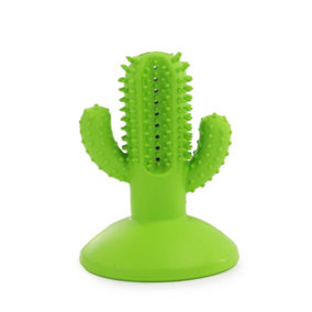 Ancol Jawables Cactus Dog Toothbrush Fun Interactive Lightweight Pet Puppy Play Chew Toy