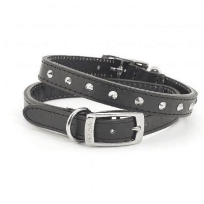 Ancol Latigo Hundehalsband – Dehnbar, Kastanienbraun, Größe 2 (26–31 Cm), Aus Pflanzlich Gegerbtem Leder