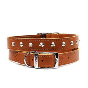 Ancol Leather Stud Collar Tan 39-48cm Size 5
