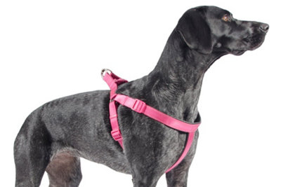 Ancol Padded Harness Pink, Size large 67cm-87cm Price Comparisons | Compare The Build