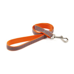 Ancol Patterned Collection Bone Lead Orange 1mx19mm