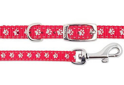Ancol Small Bite Reflective Collar and Lead Set Blue Red Price Comparisons | Compare The Build