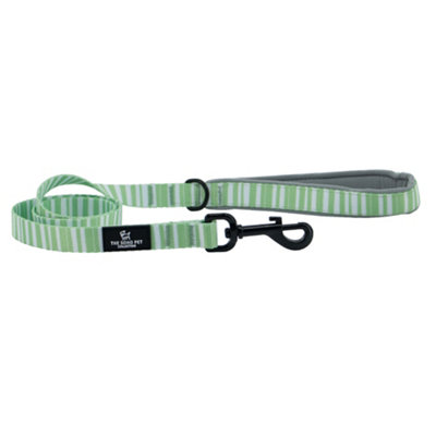 Ancol Stripe Patterned Dog Lead Secure Fit Comfortable Padded Grip Sturdy Pet Puppy Leash Price Comparisons | Compare The Build