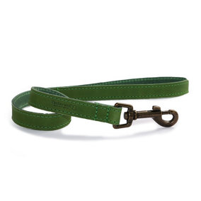 Ancol Timberwolf Leather Green Dog Puppy Lead Pet Leash Training Accessory, 60cm x 19mm