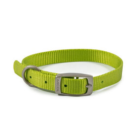 Ancol Viva Comfortable Weatherproof Safe Lightweight Lime Dogs Buckle Collar 26-31cm, Size 2