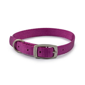 Ancol Viva Lightweight Comfortable Weatherproof Safe Purple Dogs Buckle Collar 26-31cm, Size 2