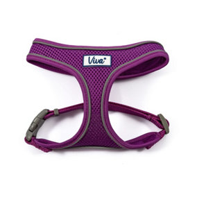 Ancol Viva Mesh Comfort Harness Purple XS Extra Small ( To Fit Girth 28-40 cm )