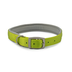 Ancol Viva Padded Soft Touch Weatherproof Walking Lime Buckle Collar Pet Accessory 39-48 cm, Size 5