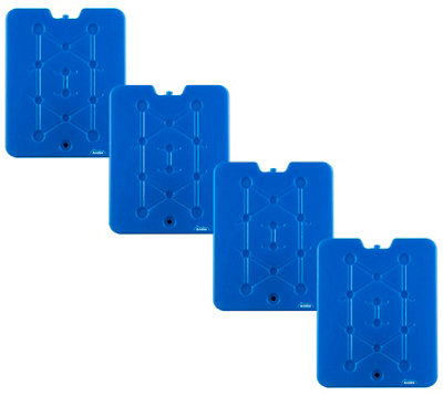 Andes 4 Pack of Large 800G Reusable Ice Packs/Freezer Blocks for