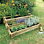 Angelic 3 Tiered Raised Bed with Lining