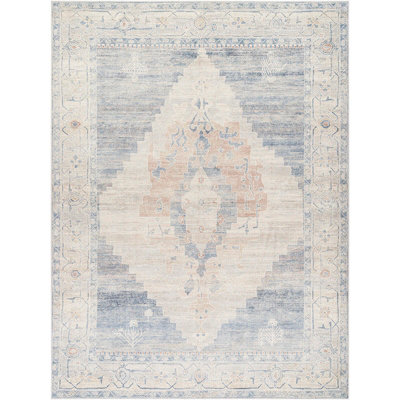 ANIKA Becki Owens x Livabliss Vintage Traditional Oriental Boho Denim/Navy Area Rug 160 x 213 cm