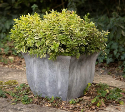 Annibells Vintage Galvanised Decorative Metal Square Garden Planters (1568) - Medium