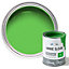 Annie Sloan Chalk Paint 500Ml Antibes Green