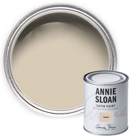 Annie Sloan Satin Paint 750ml Canvas