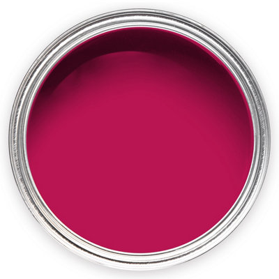 Annie Sloan Wall Paint 120ml Capri Pink
