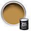 Annie Sloan Wall Paint 120ml Carnaby Yellow