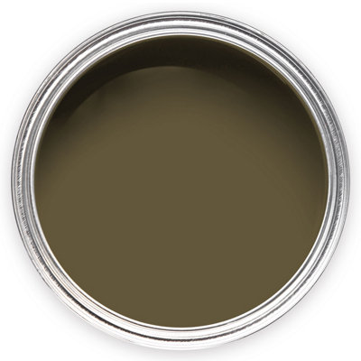 Annie Sloan Wall Paint 120ml Olive