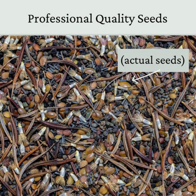 Annual ETNA Wild Flower Seeds 50g (25m²) - 5