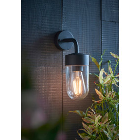 Anson Lighting Aron outdoor wall light finished in Textured matt black and clear glass