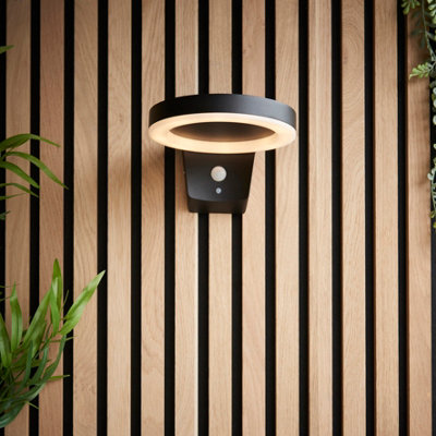 Anson Lighting Exton Black Solar Powered Outdoor LED Wall Light