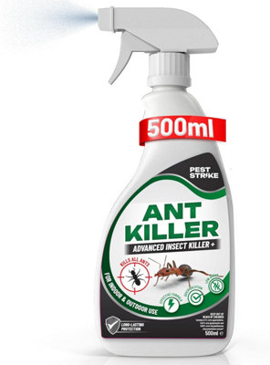 Ant Killer Spray - 500ml Ant Spray Odourless & Fast Acting for Indoor ...