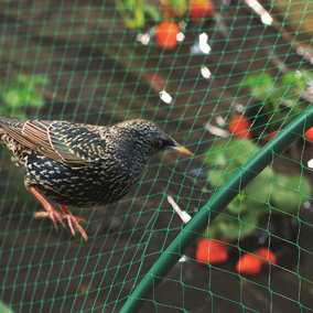 Anti Bird Pond Garden Netting Green - 15mm Mesh - 2m x 3m