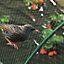 Anti Bird Pond Garden Netting Green - 15mm Mesh - 4m x 10m