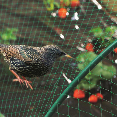 Anti Bird Pond Garden Netting Green - 15mm Mesh - 4m x 10m