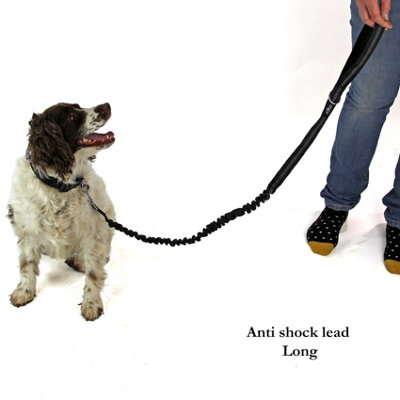 Anti shock hotsell dog leash