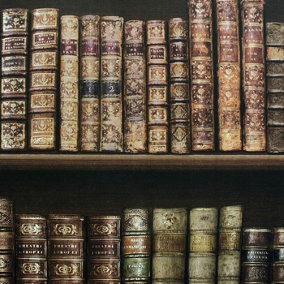 Antique Bookcase Wallpaper - Brown - 575208