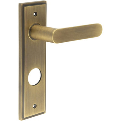 Antique Brass Bathroom Door Handle with Backplate - Interior Handle