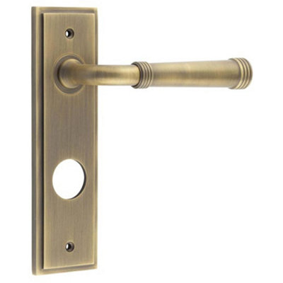 Antique Brass Bathroom Door Handle with Backplate - Luxury Design - Solid Brass Interior Handle