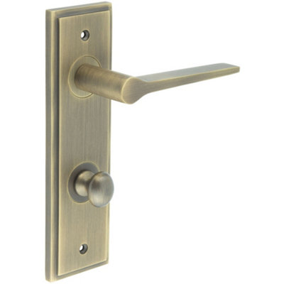 Antique Brass Door Handle Set with Backplate for Bathroom - Solid Brass Interior Handle