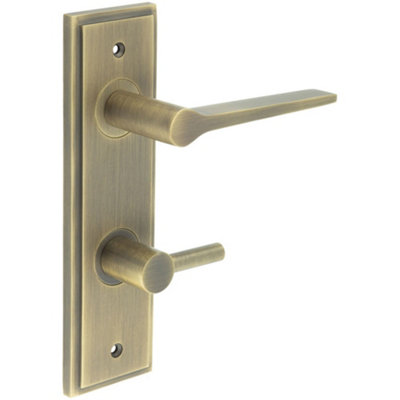 Antique Brass Door Handle with Backplate for Bathroom - Elegant Turn & Release Design - Solid Brass Interior Handle