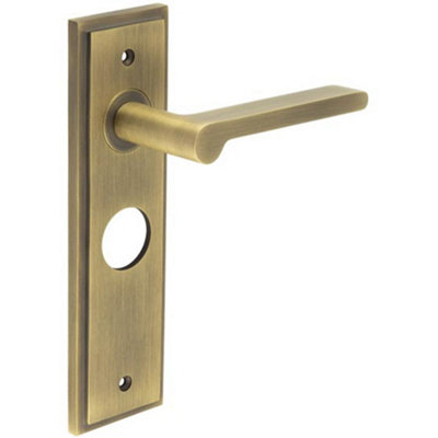 Antique Brass Door Handle with Backplate for Bathroom - Solid Brass Interior Handle
