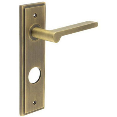 Antique Brass Door Handle with Backplate for Bathrooms - Elegant Design - Solid Brass Interior Handle