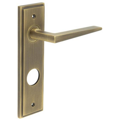 Antique Brass Door Handle with Backplate for Bathrooms Solid Brass - Interior Handle
