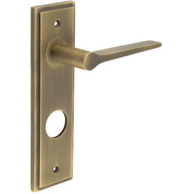 Antique Brass Door Handle with Backplate for Bathrooms Solid Brass Interior Handle